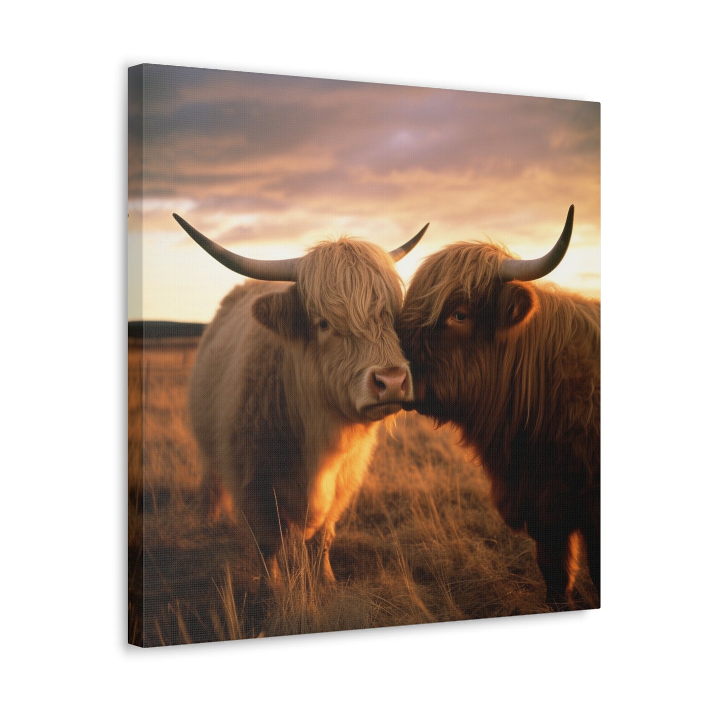 Canvas Gallery Wraps Cow Love 1