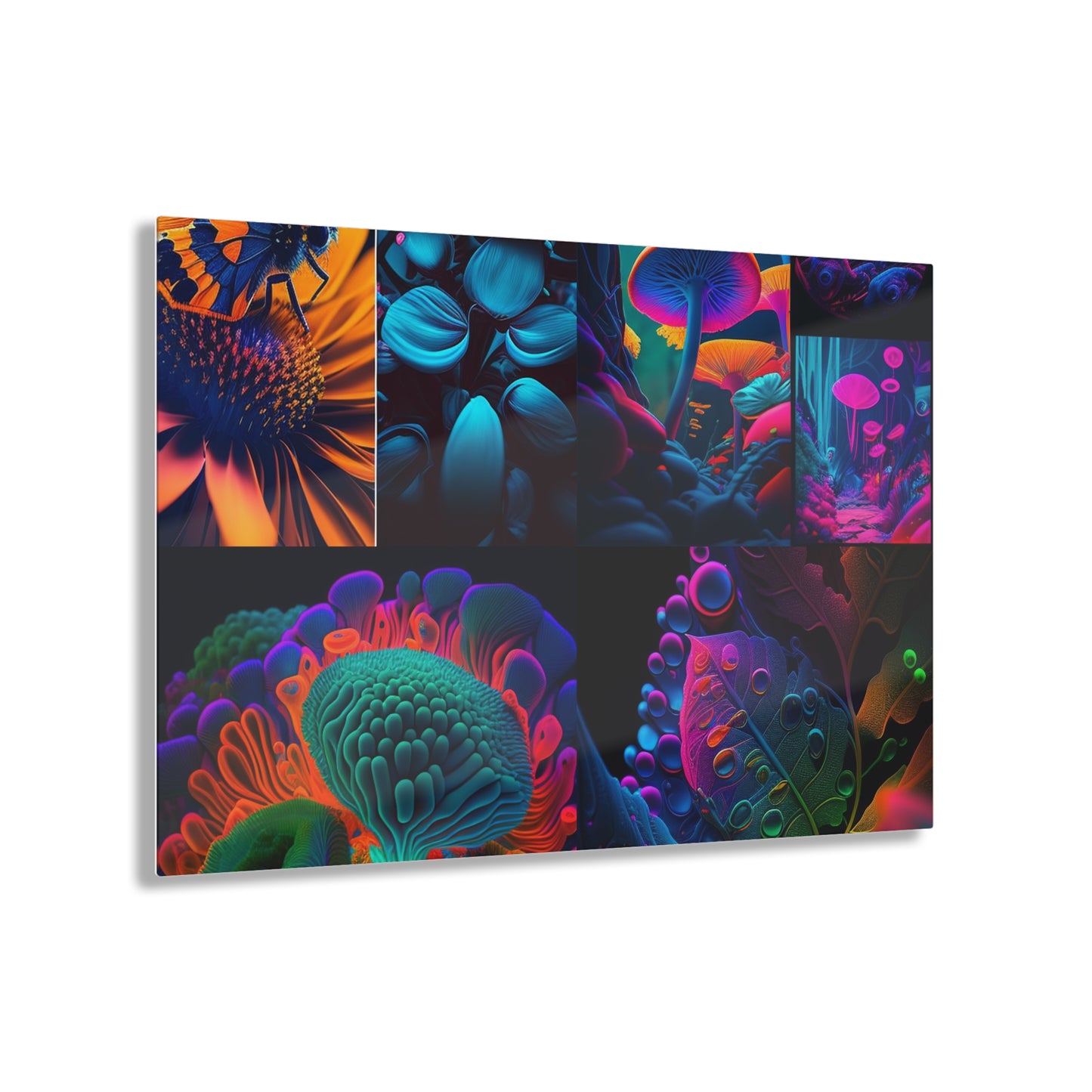 Acrylic Prints Macro Reef Florescent 5