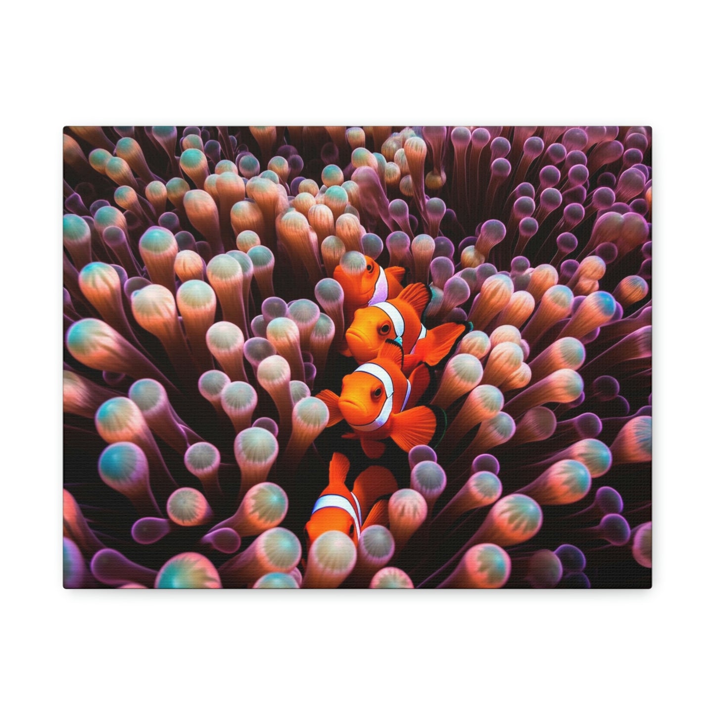 Canvas Gallery Wraps Clown Fish 3