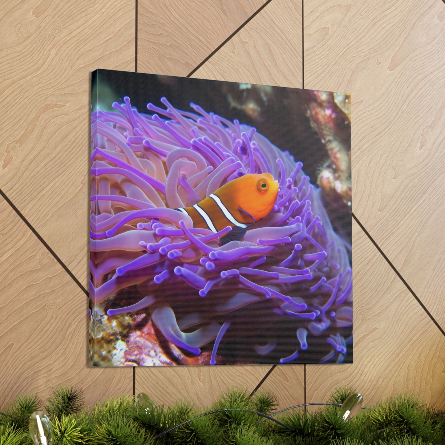 Canvas Gallery Wraps Anemone Clown 3