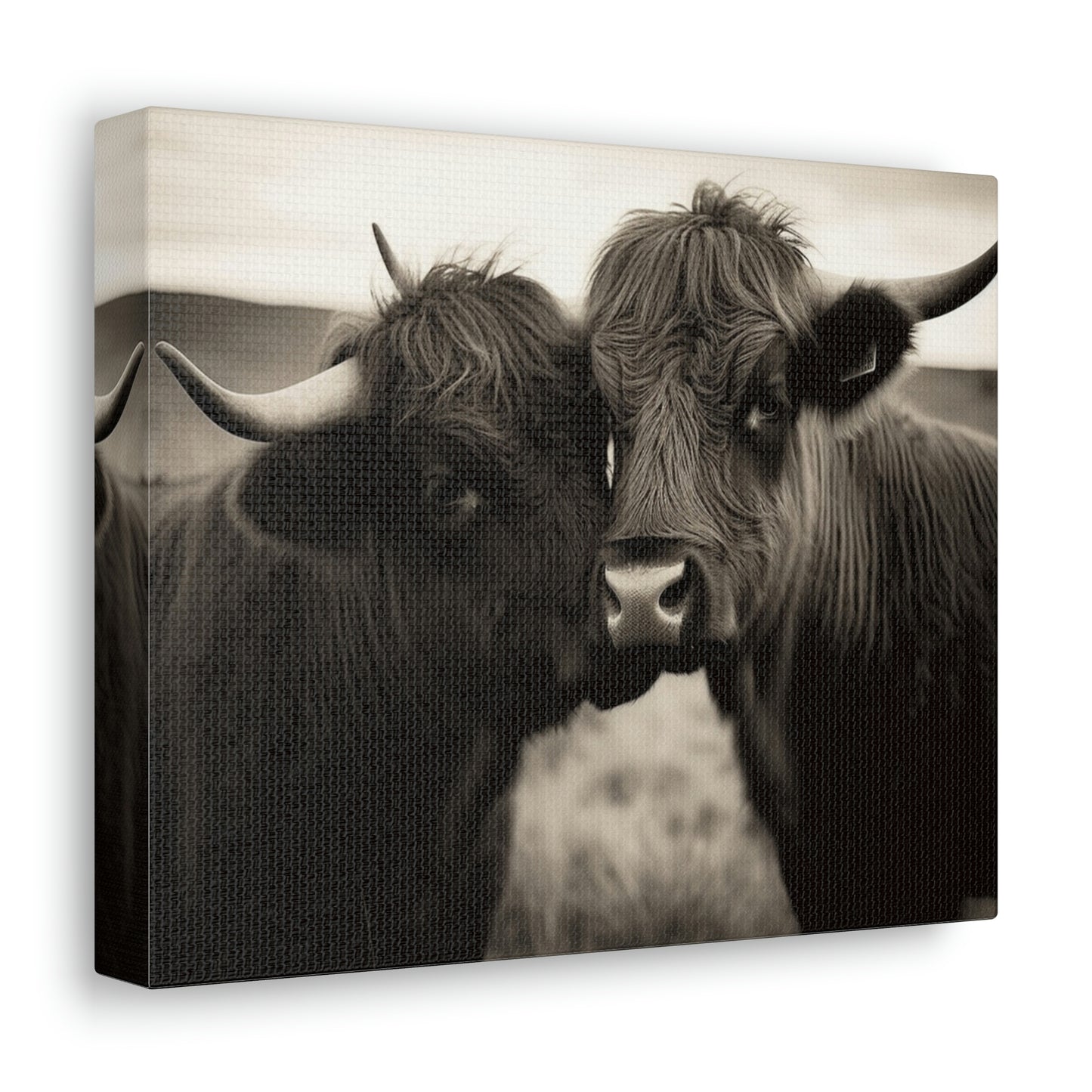 Canvas Gallery Wraps Cow Love 4