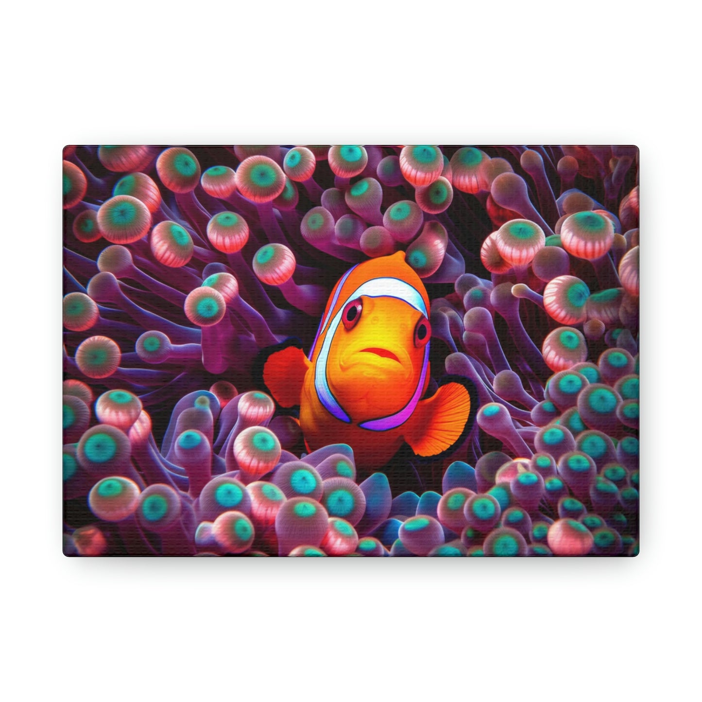 Canvas Gallery Wraps Clown Fish 4