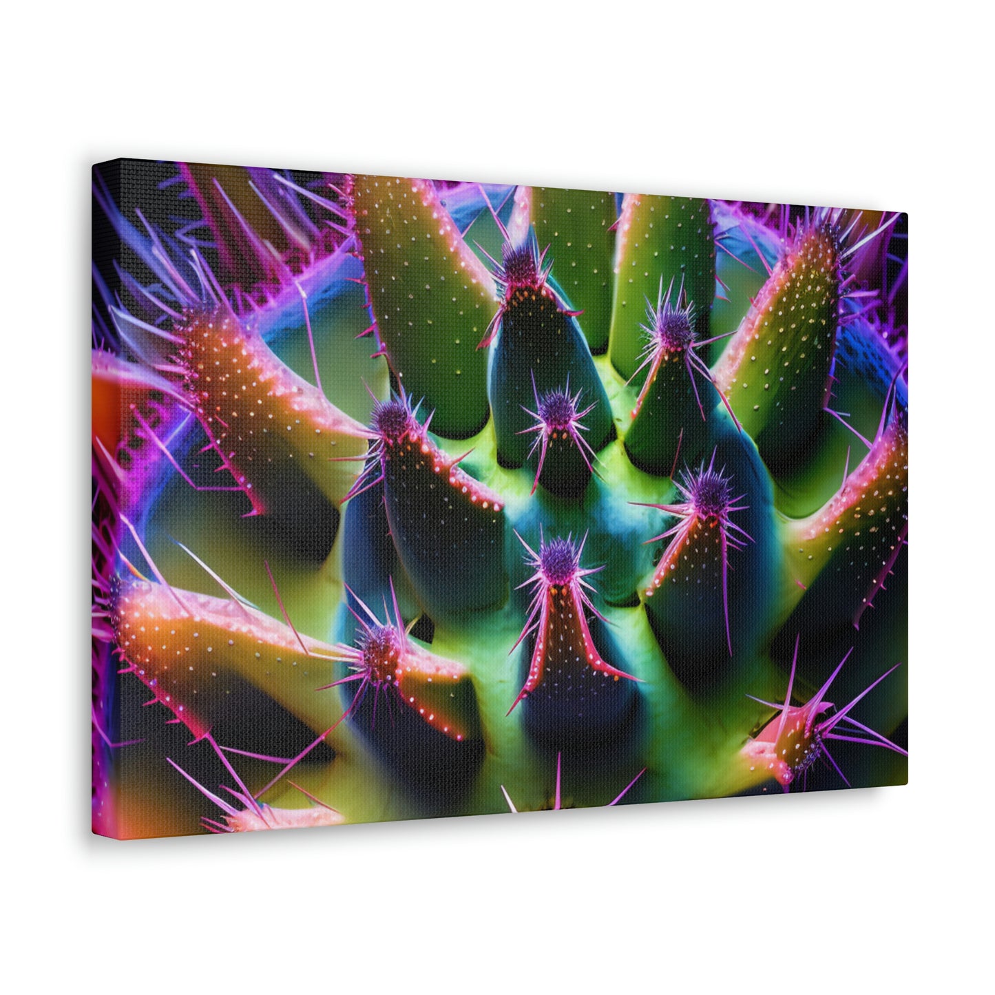 Macro Cactus 5