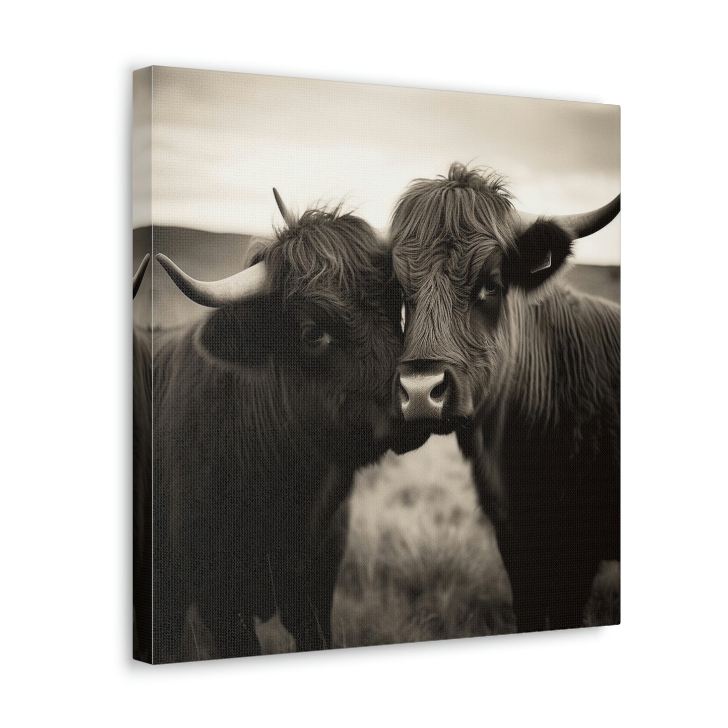 Canvas Gallery Wraps Cow Love 4