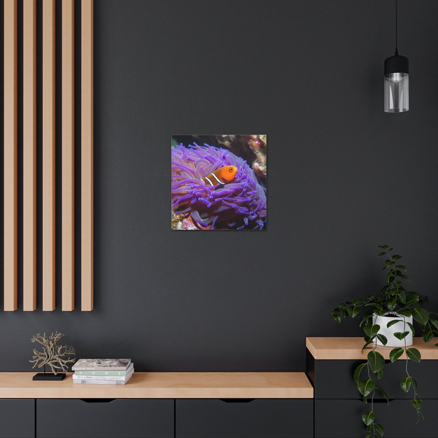 Canvas Gallery Wraps Anemone Clown 3