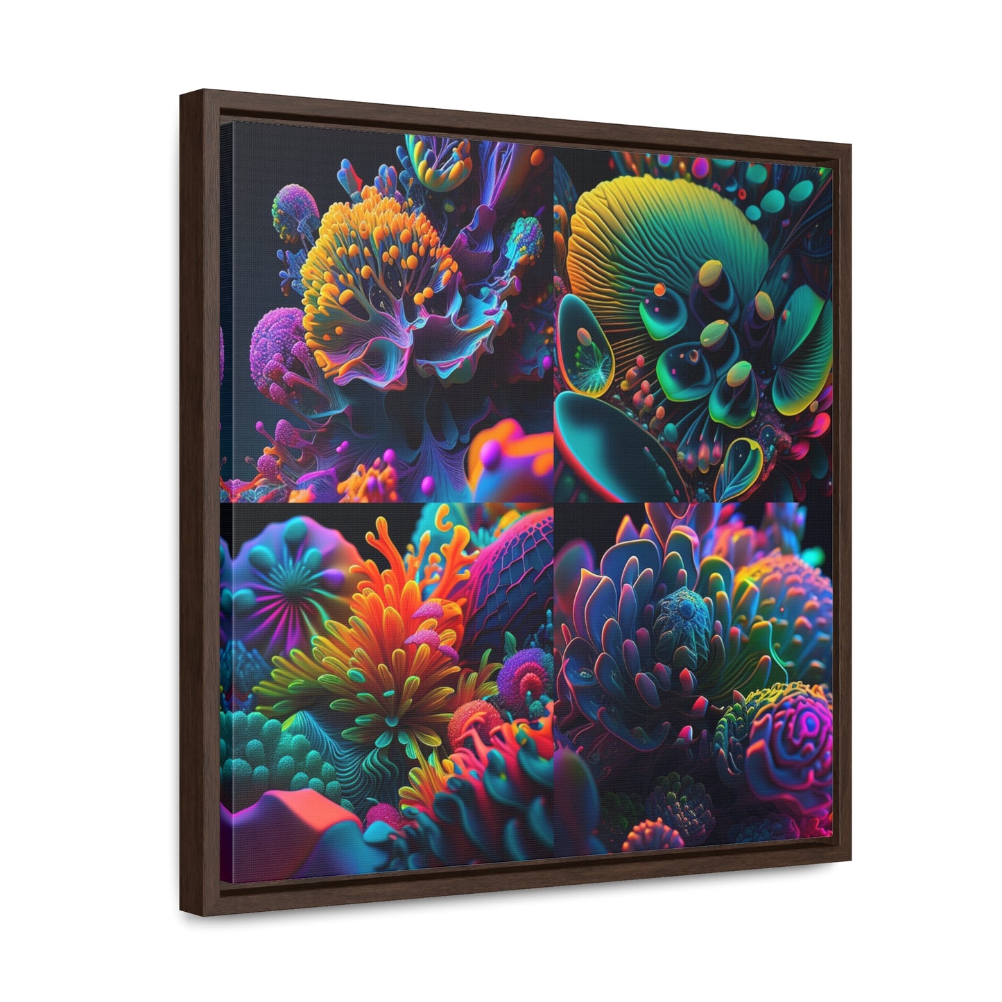 Gallery Canvas Wraps, Square Frame Ocean Life Macro 5