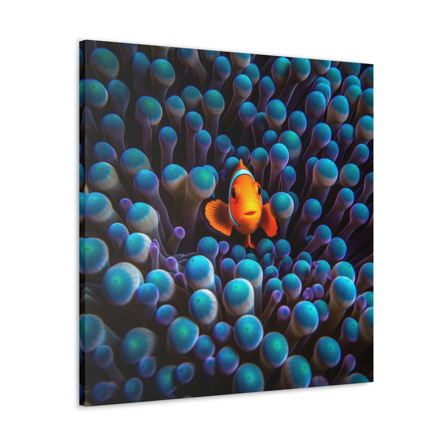 Canvas Gallery Wraps Clown Fish 1