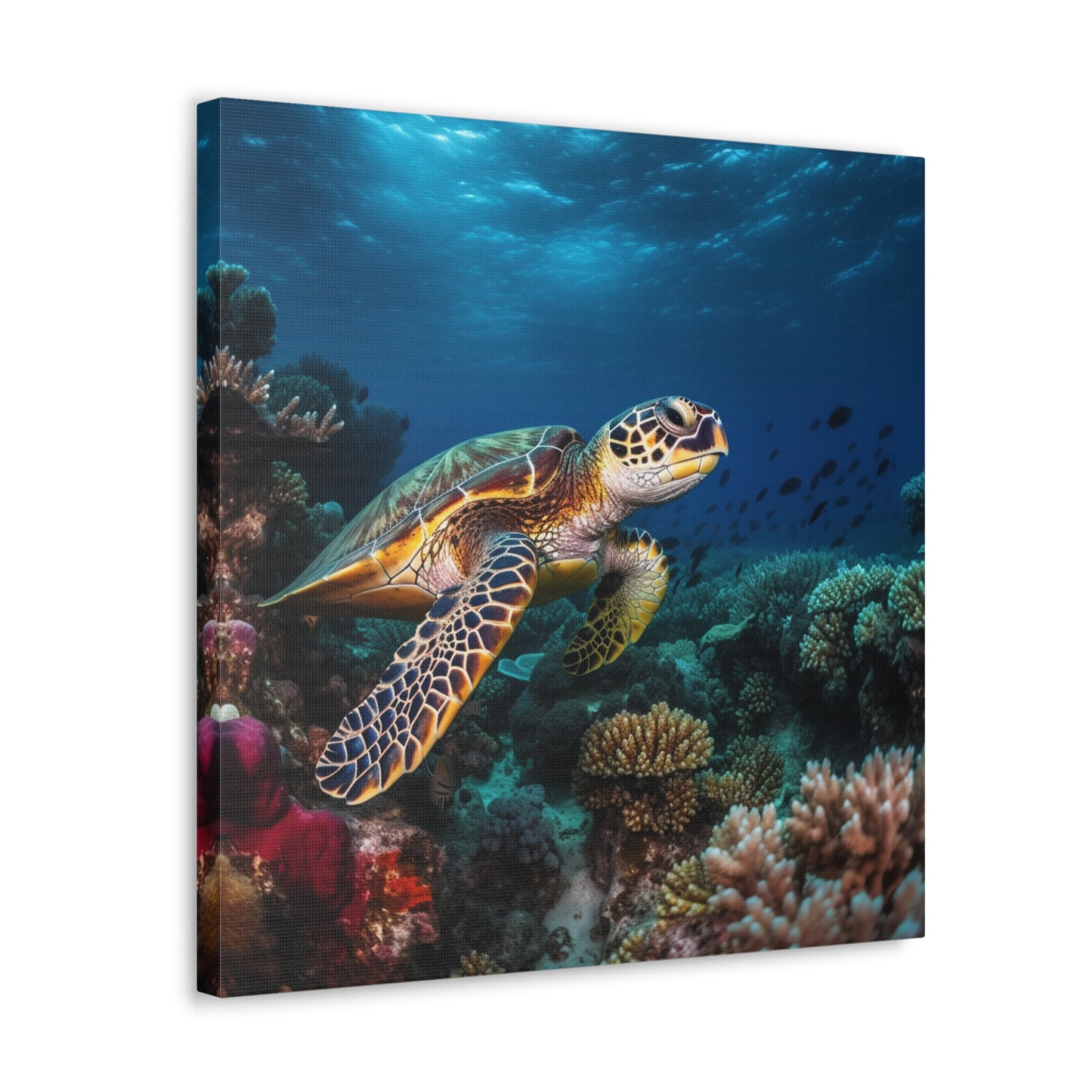 Sea Turtle Reef 1