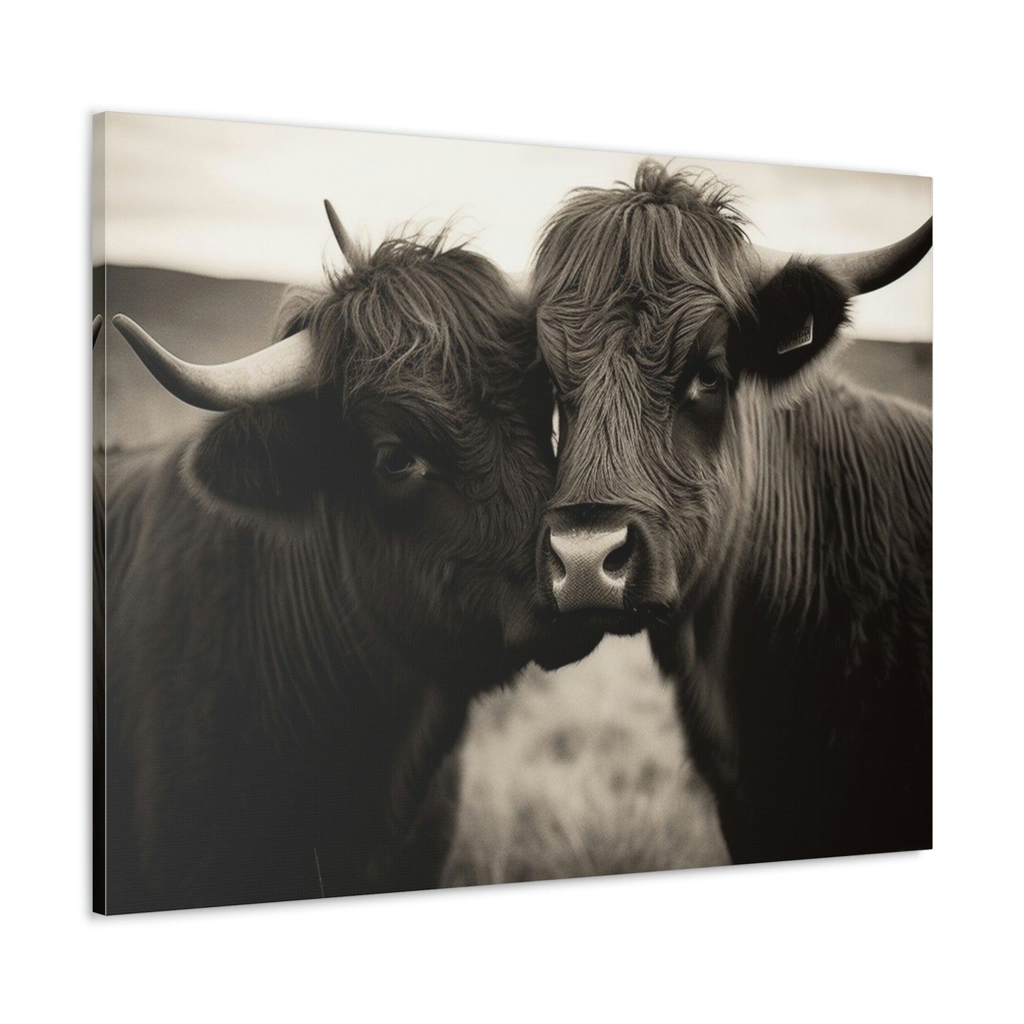 Canvas Gallery Wraps Cow Love 4