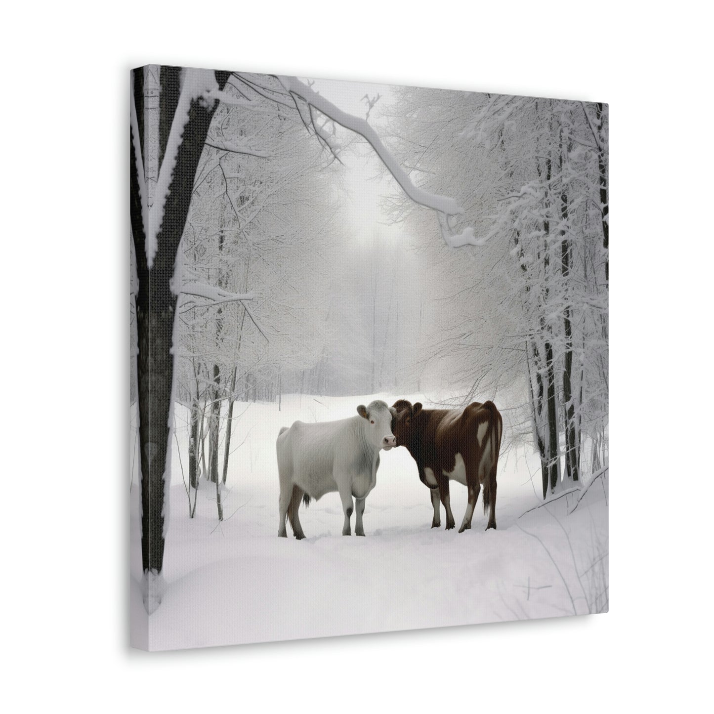 Canvas Gallery Wraps Long Haired Cow snow 4