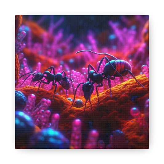 Canvas Gallery Wraps Ants Home 4