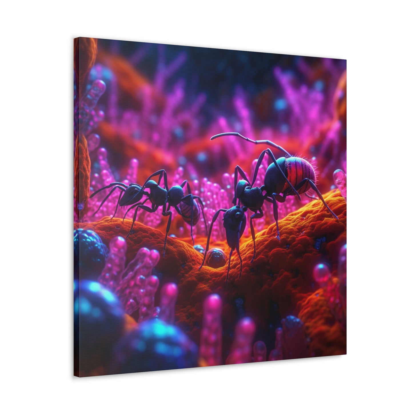 Canvas Gallery Wraps Ants Home 4