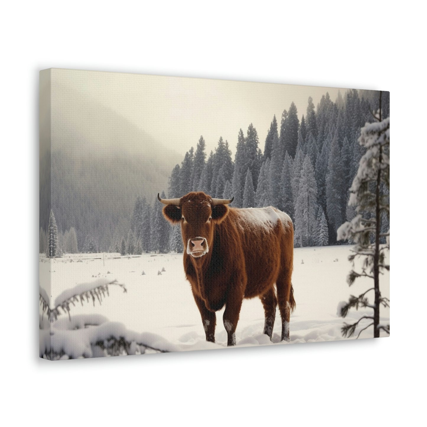 Canvas Gallery Wraps Cow Snow 3