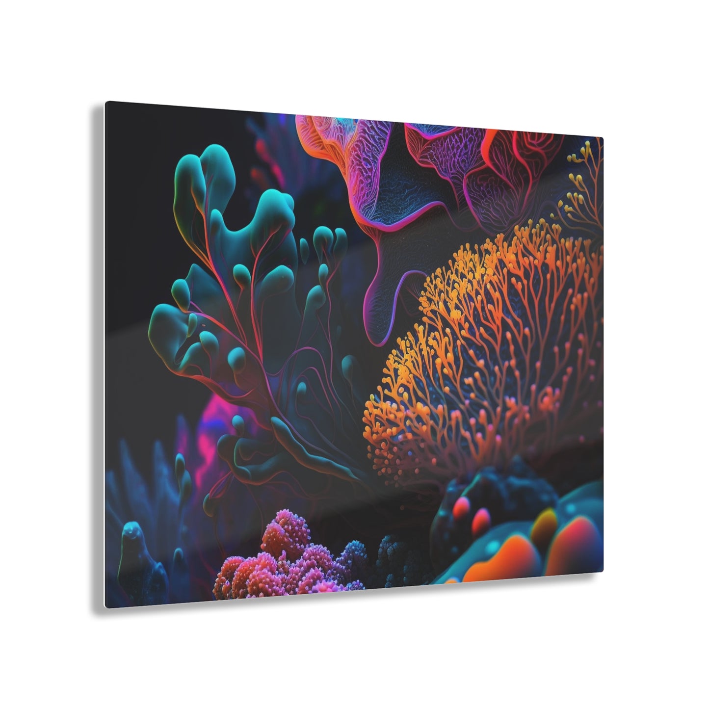 Acrylic Prints Ocean Life Macro 2