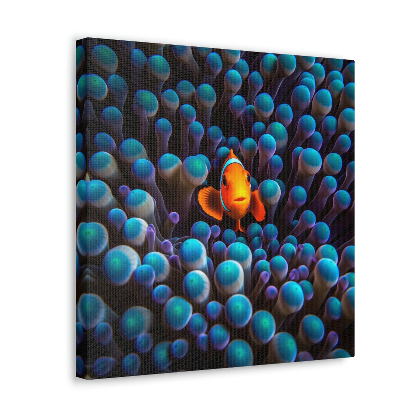 Canvas Gallery Wraps Clown Fish 1