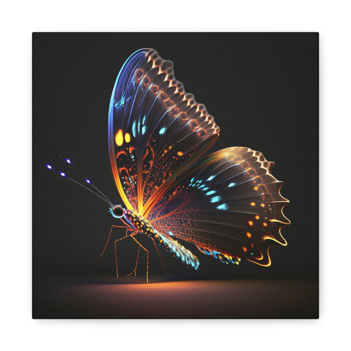 Butterfly neon