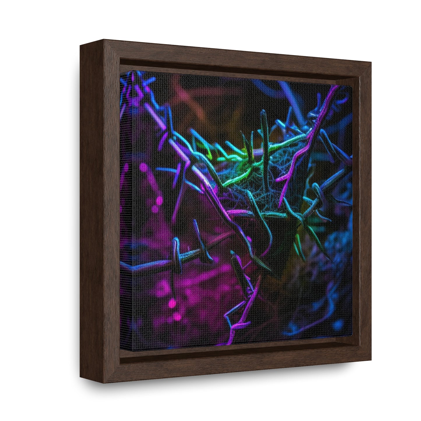 Gallery Canvas Wraps, Square Frame Macro Neon Barb 3