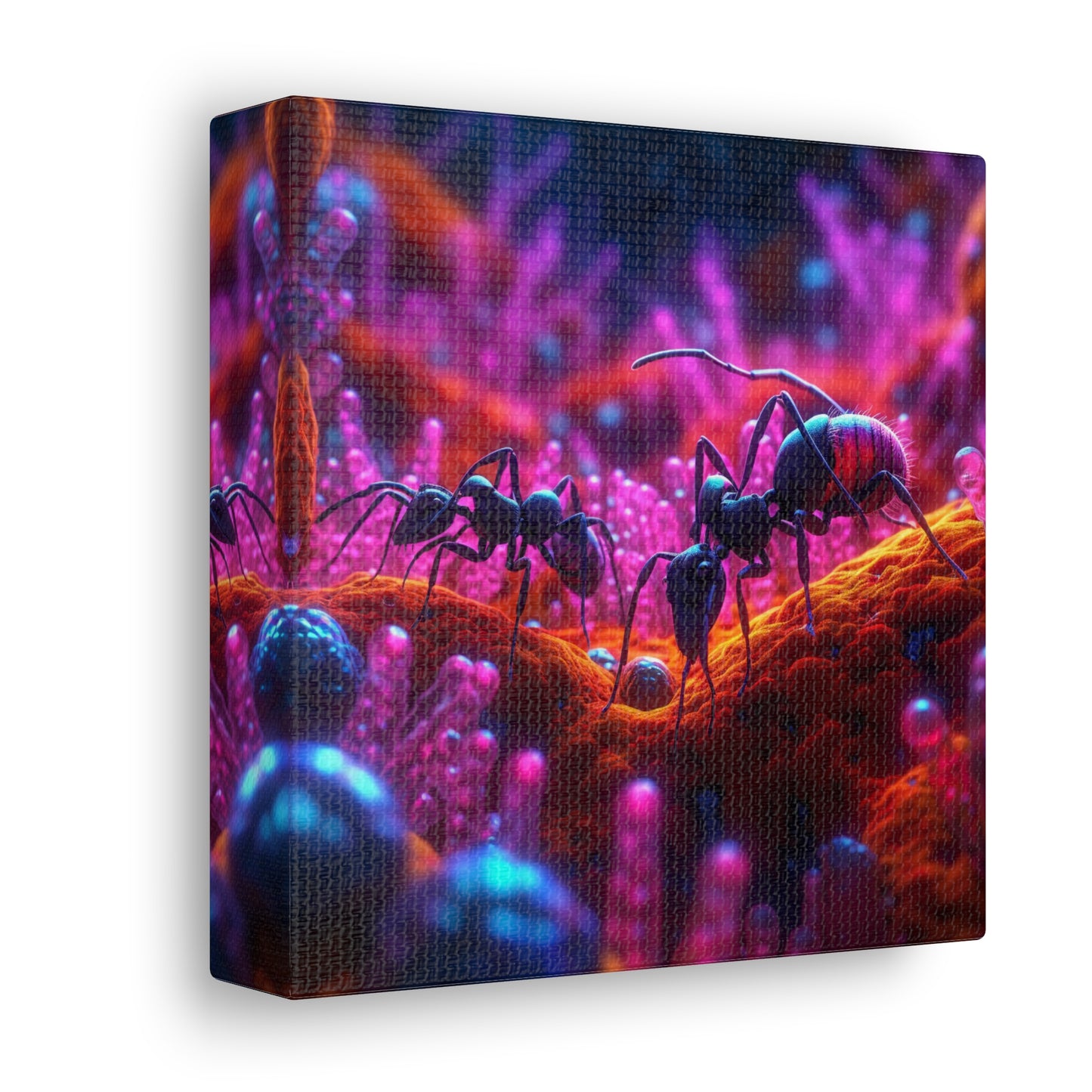 Canvas Gallery Wraps Ants Home 4