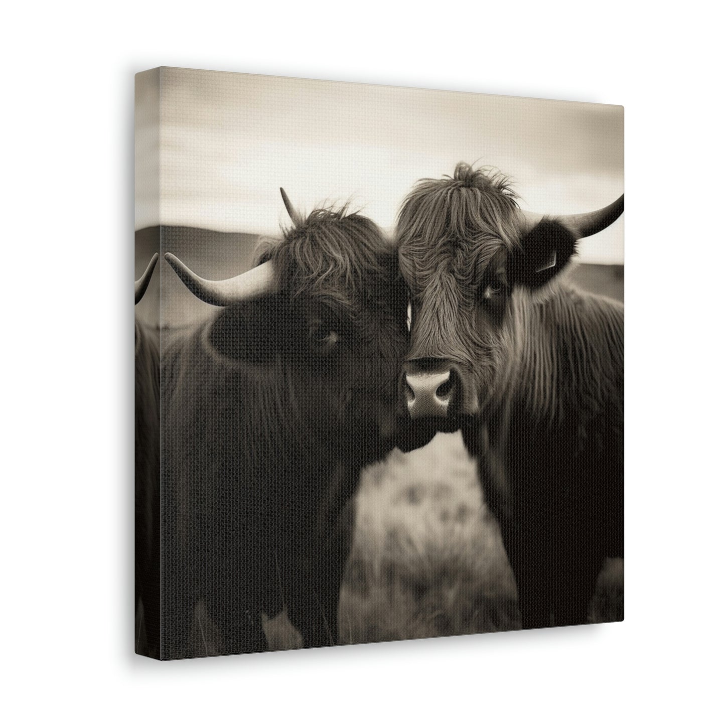 Canvas Gallery Wraps Cow Love 4