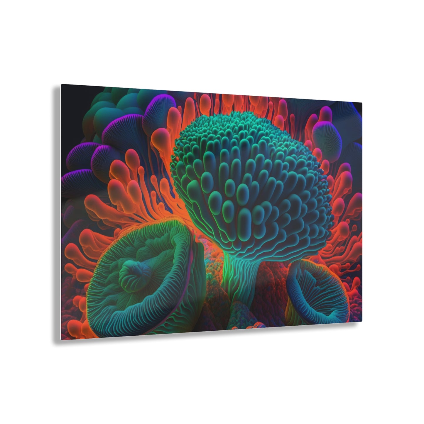 Acrylic Prints Macro Reef Florescent 3