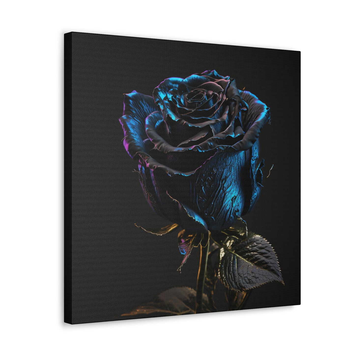 Black Blue Rose 1