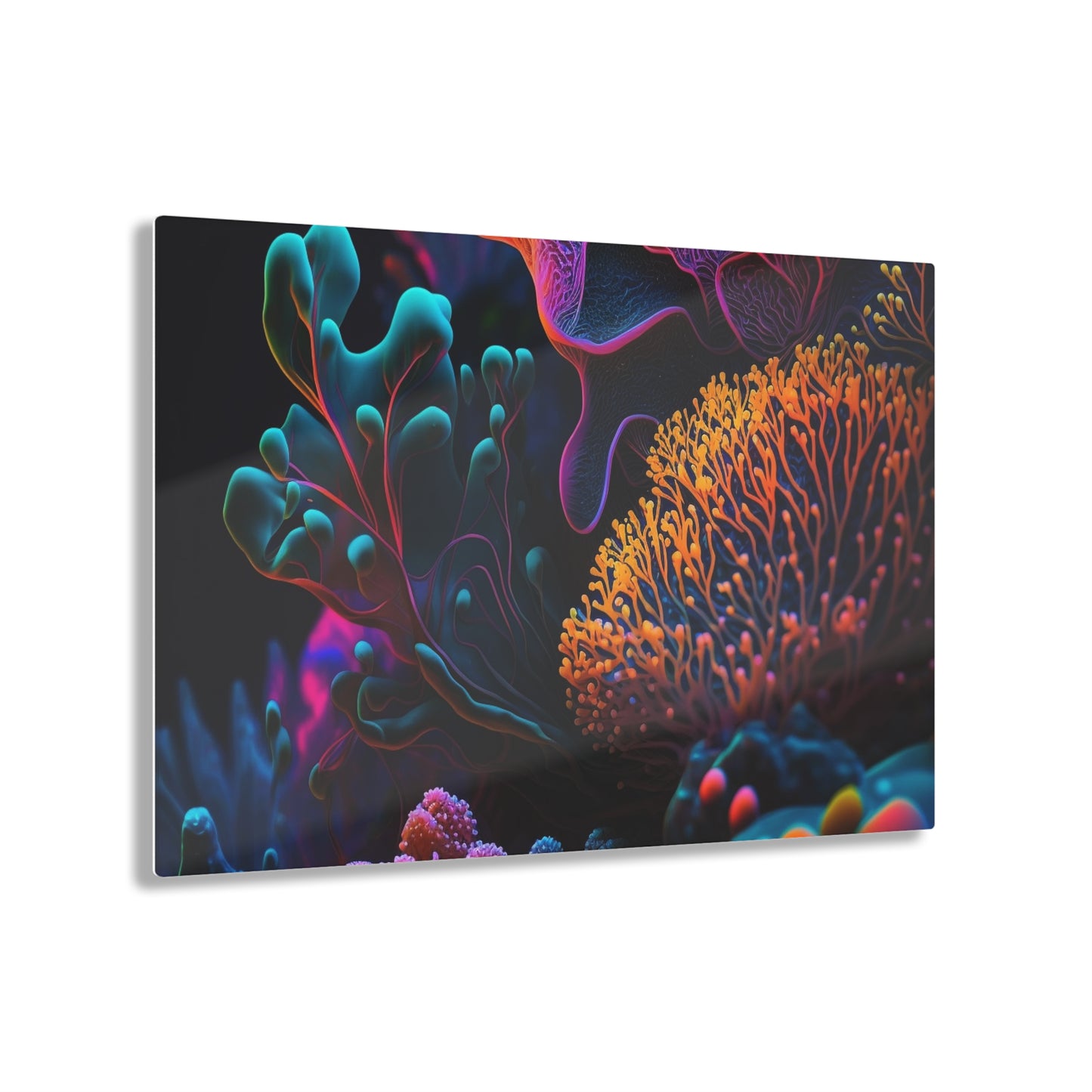 Acrylic Prints Ocean Life Macro 2