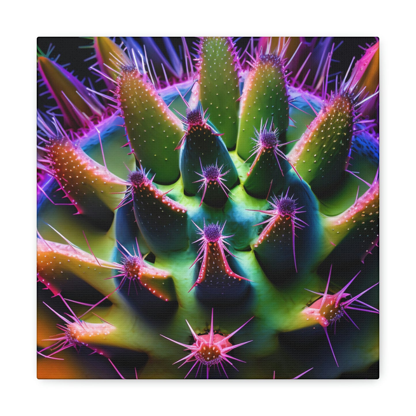 Macro Cactus 5