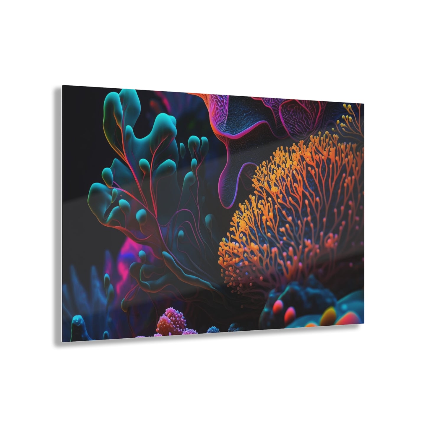 Acrylic Prints Ocean Life Macro 2