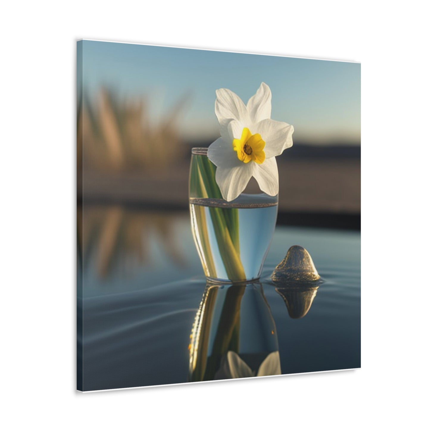Canvas Gallery Wraps Daffodil 4