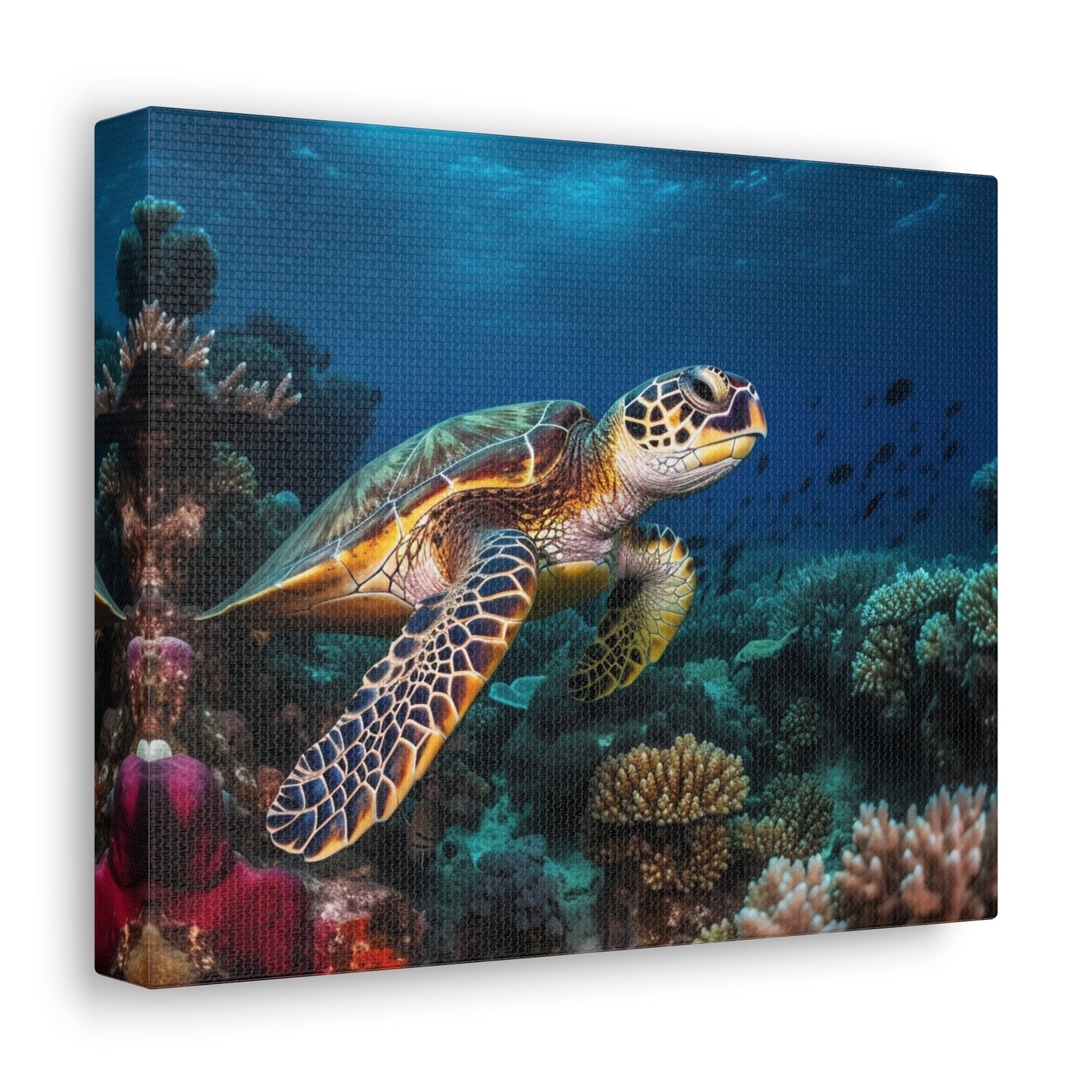 Sea Turtle Reef 1