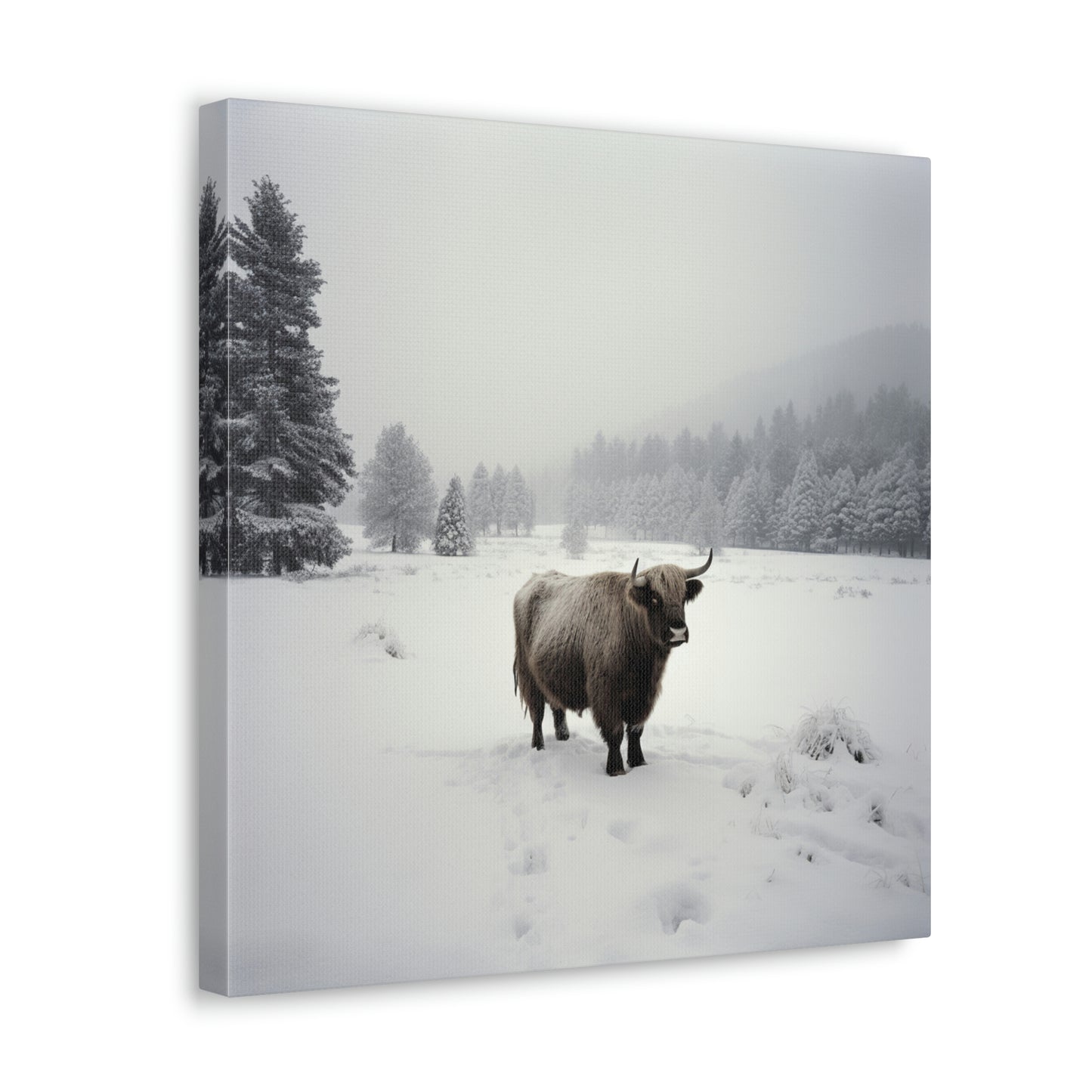 Canvas Gallery Wraps Cow Snow 4