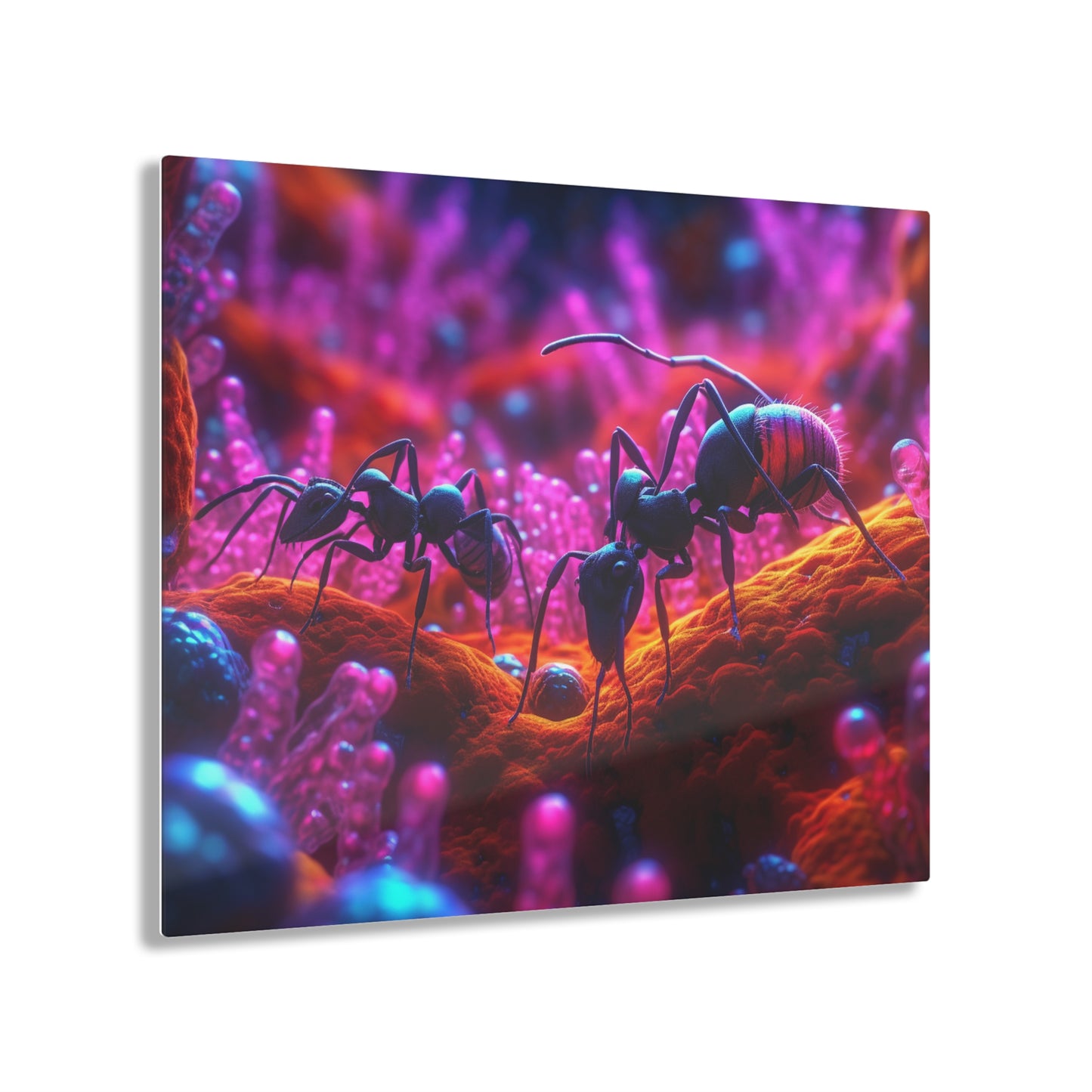 Acrylic Prints Ants Home 4