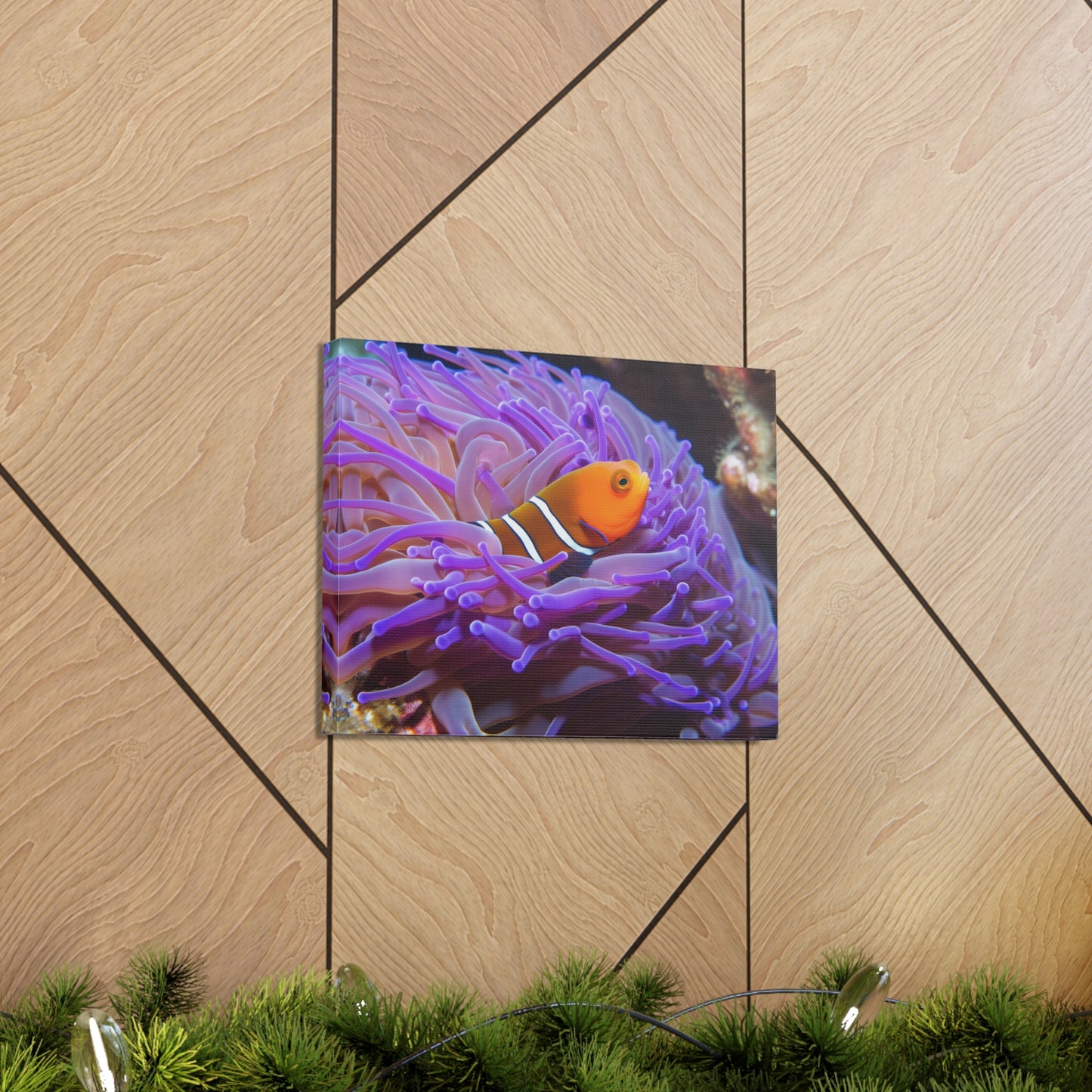 Canvas Gallery Wraps Anemone Clown 3