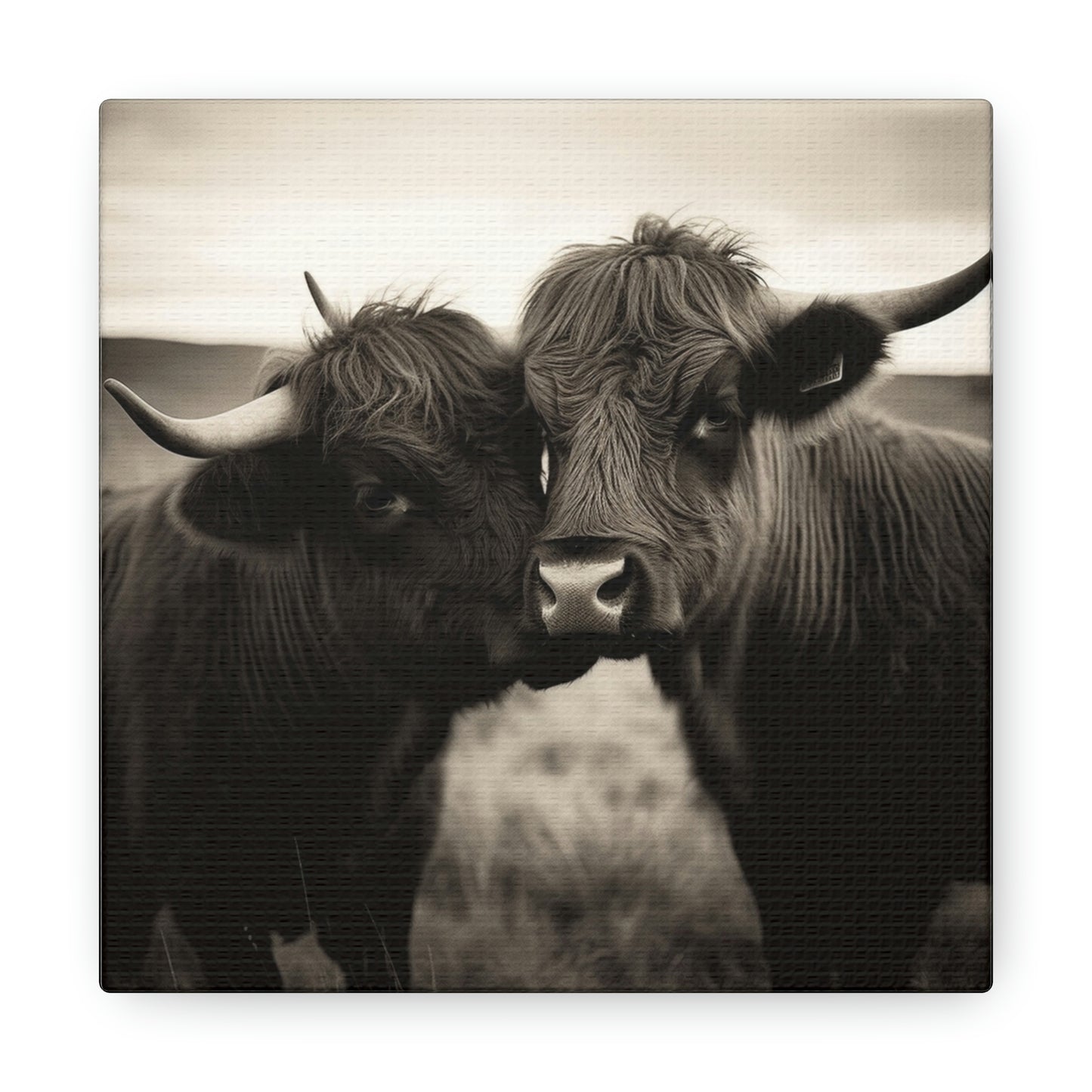 Canvas Gallery Wraps Cow Love 4