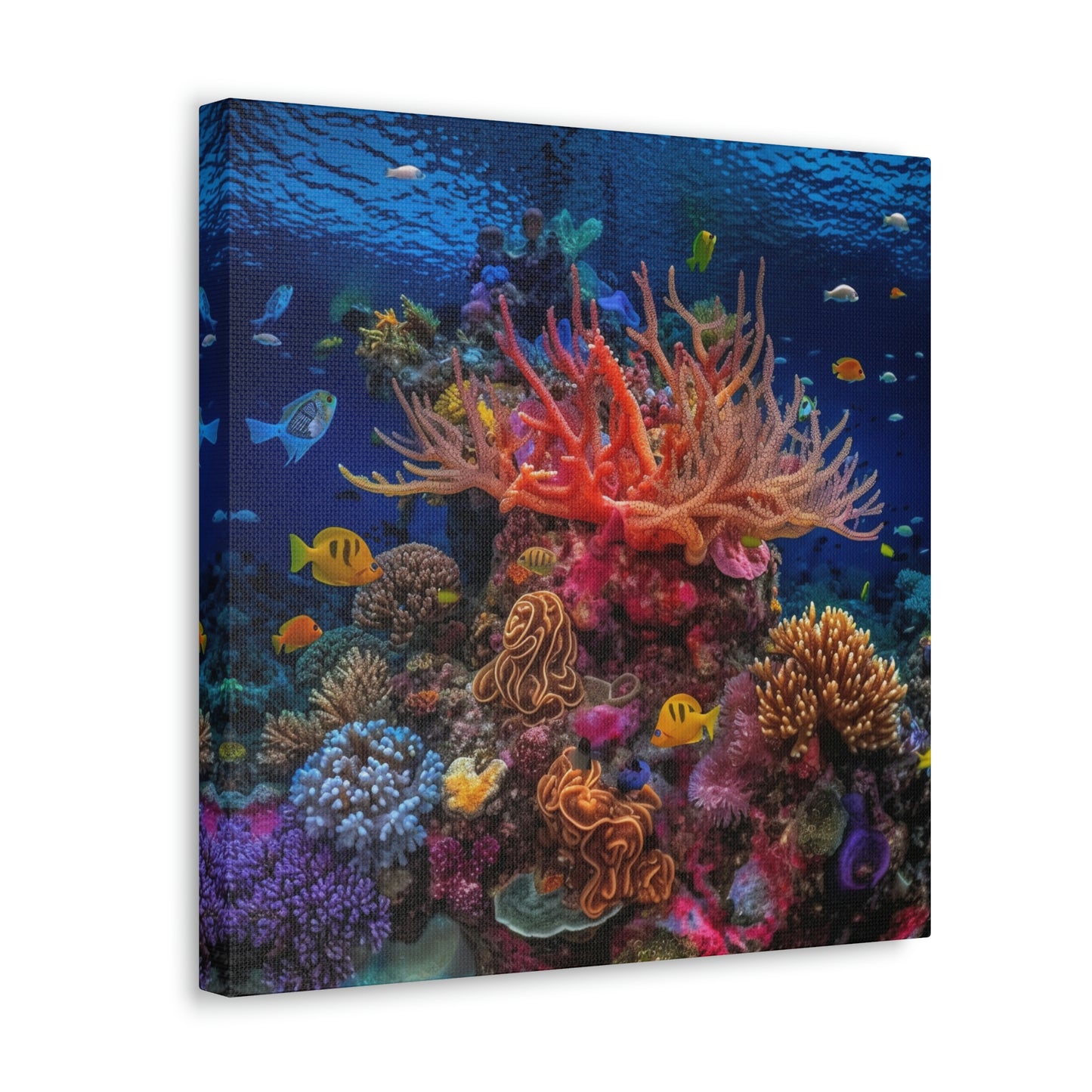 Color Coral Reef 2