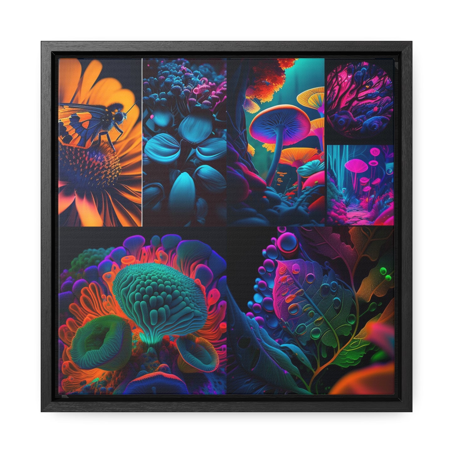 Gallery Canvas Wraps, Square Frame Macro Reef Florescent 5