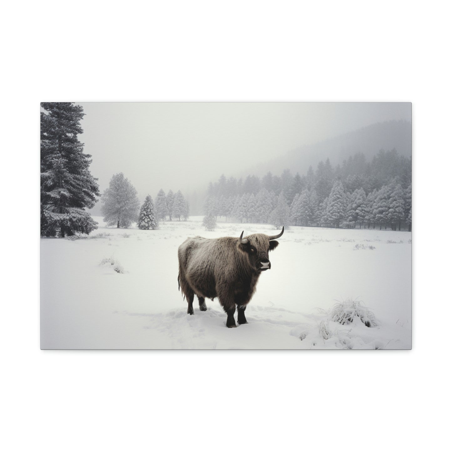 Canvas Gallery Wraps Cow Snow 4