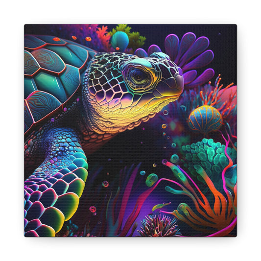 Canvas Gallery Wraps Macro Sea Life 4