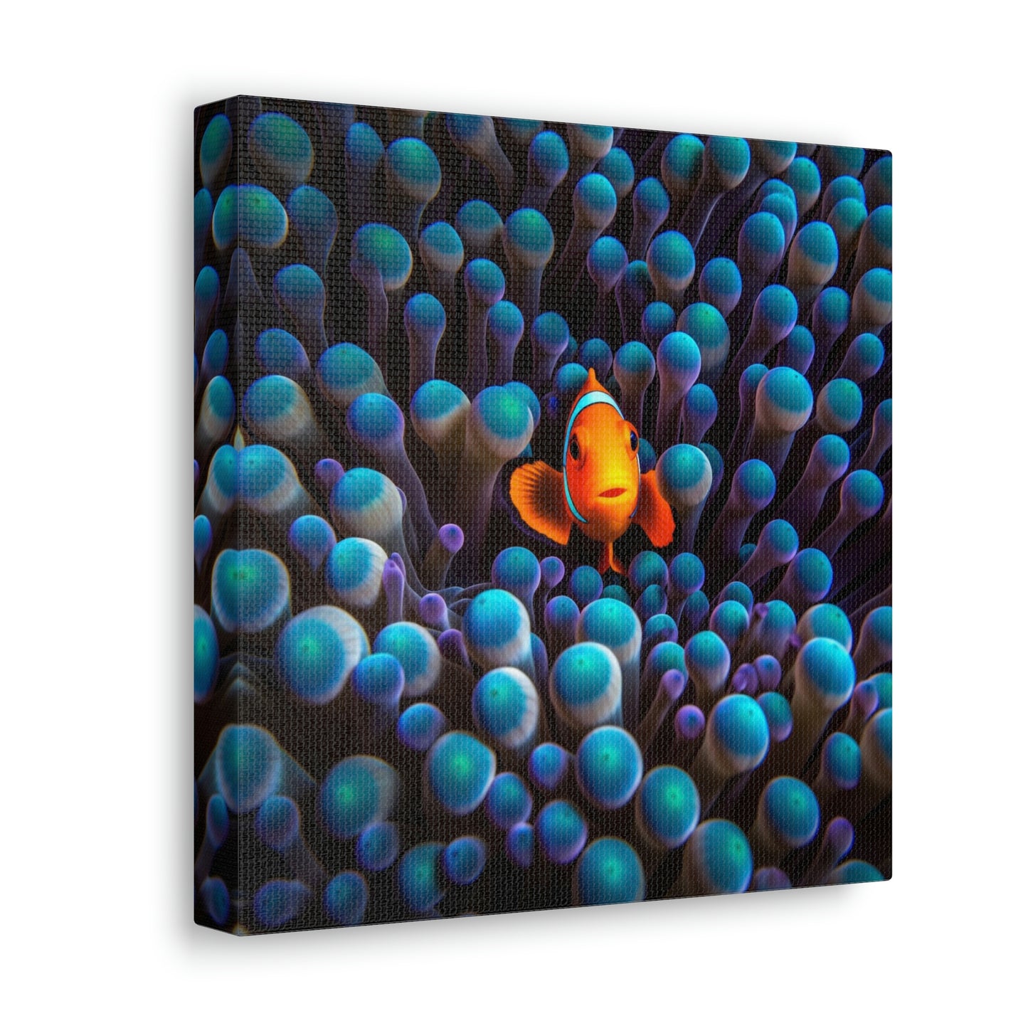 Canvas Gallery Wraps Clown Fish 1