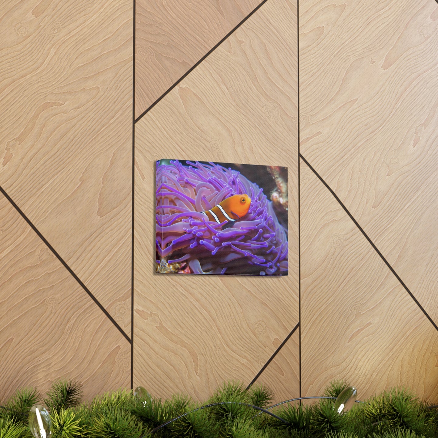 Canvas Gallery Wraps Anemone Clown 3