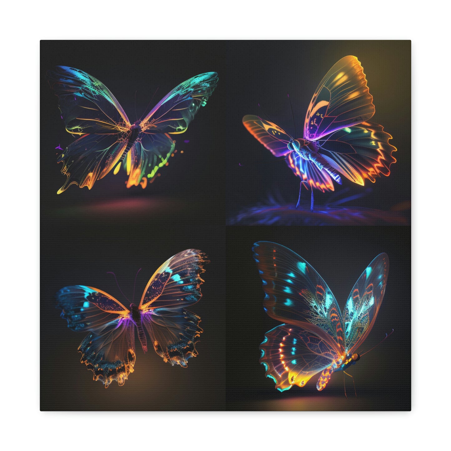 butterfly neon glow