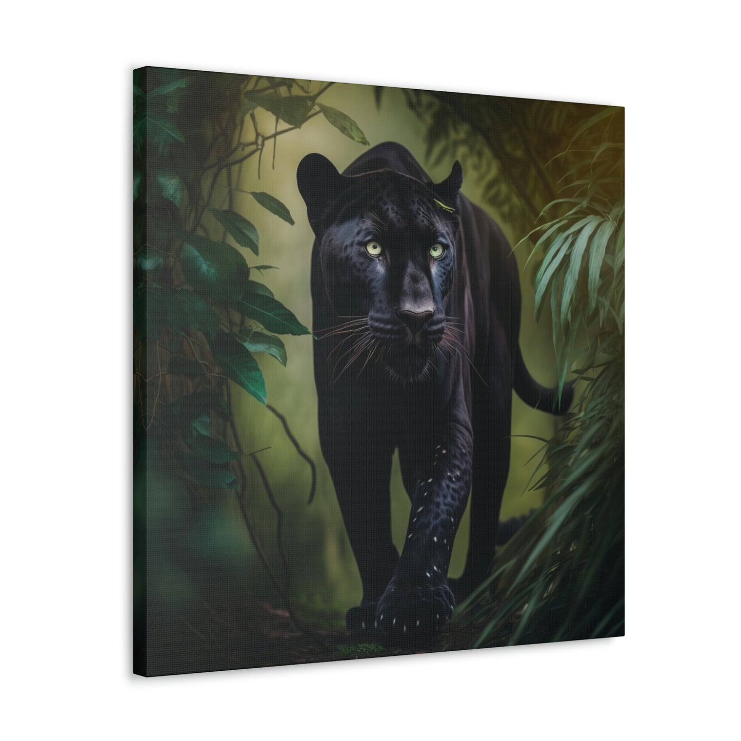 Black Panther in the Jungle 5