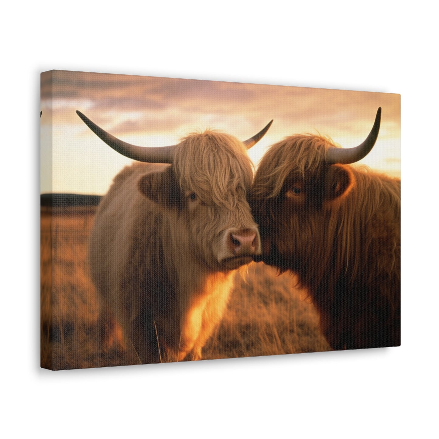 Canvas Gallery Wraps Cow Love 1