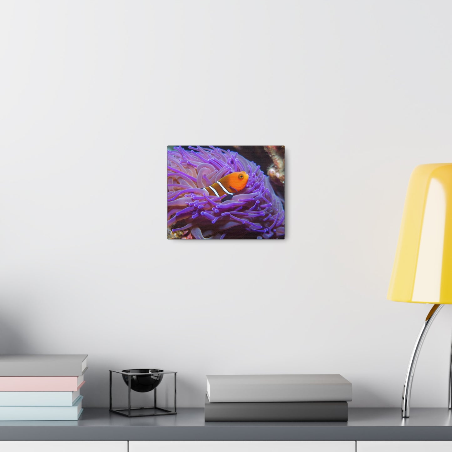 Canvas Gallery Wraps Anemone Clown 3