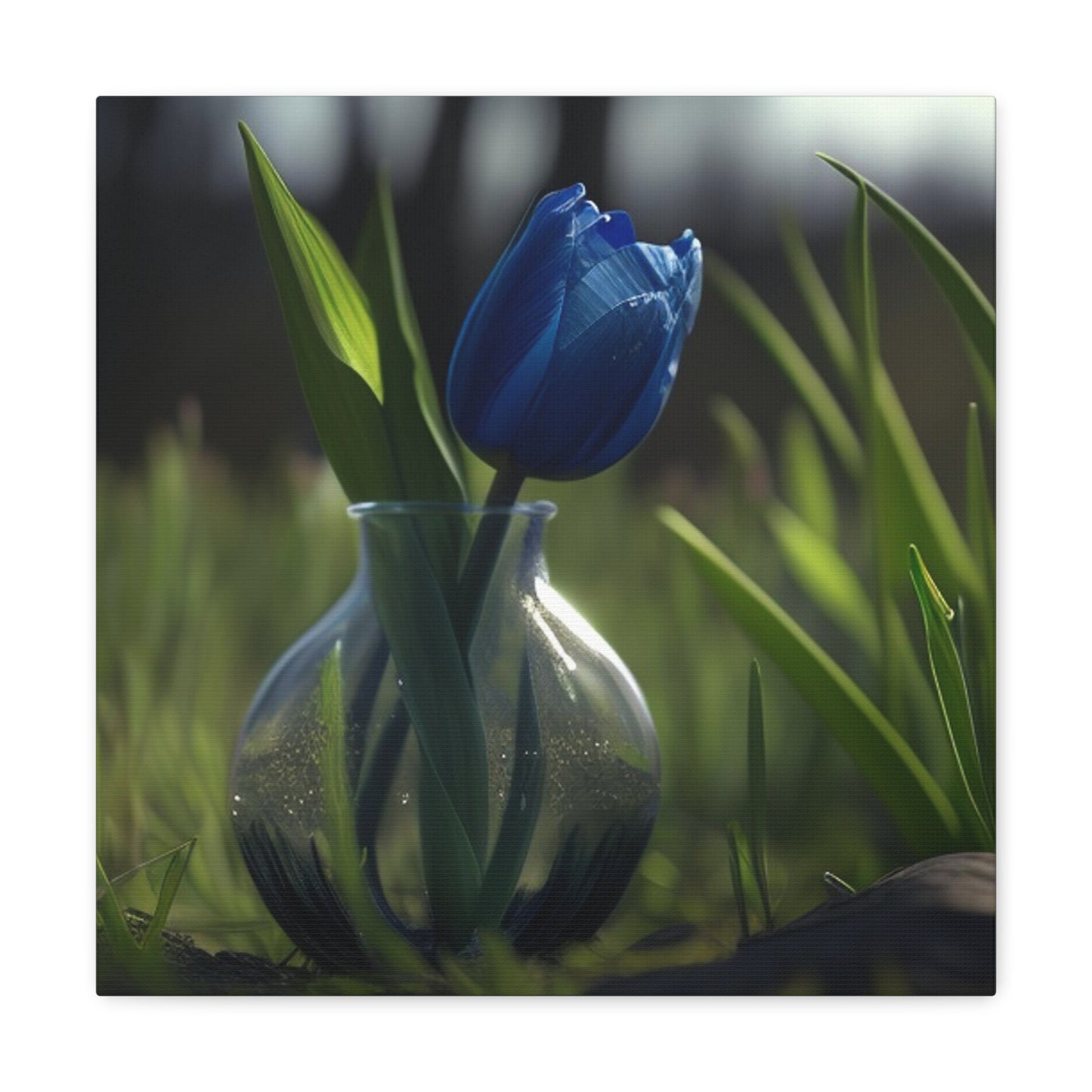 Tulip 1