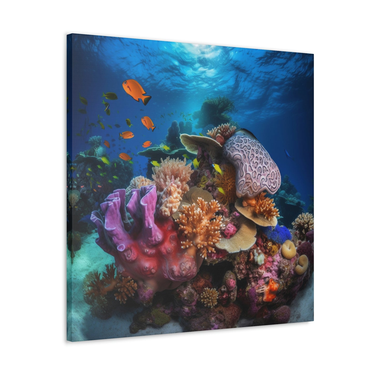 Coral Reef 2