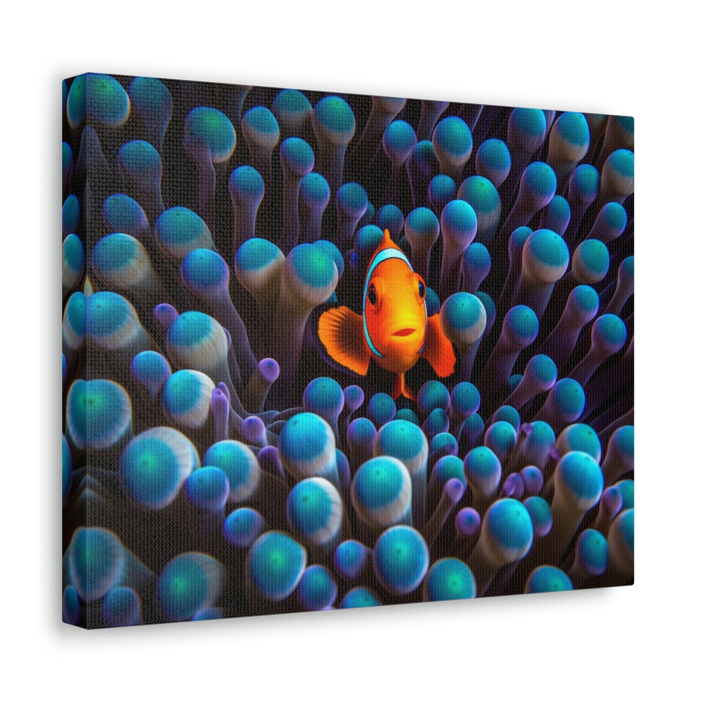 Canvas Gallery Wraps Clown Fish 1