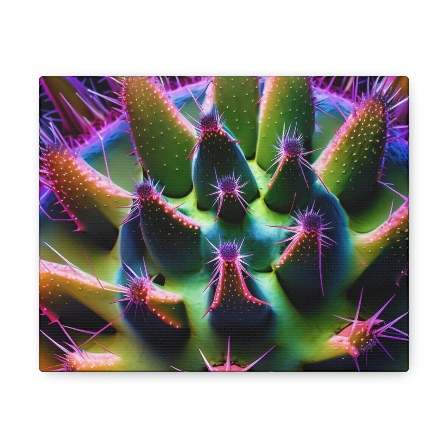 Macro Cactus 5