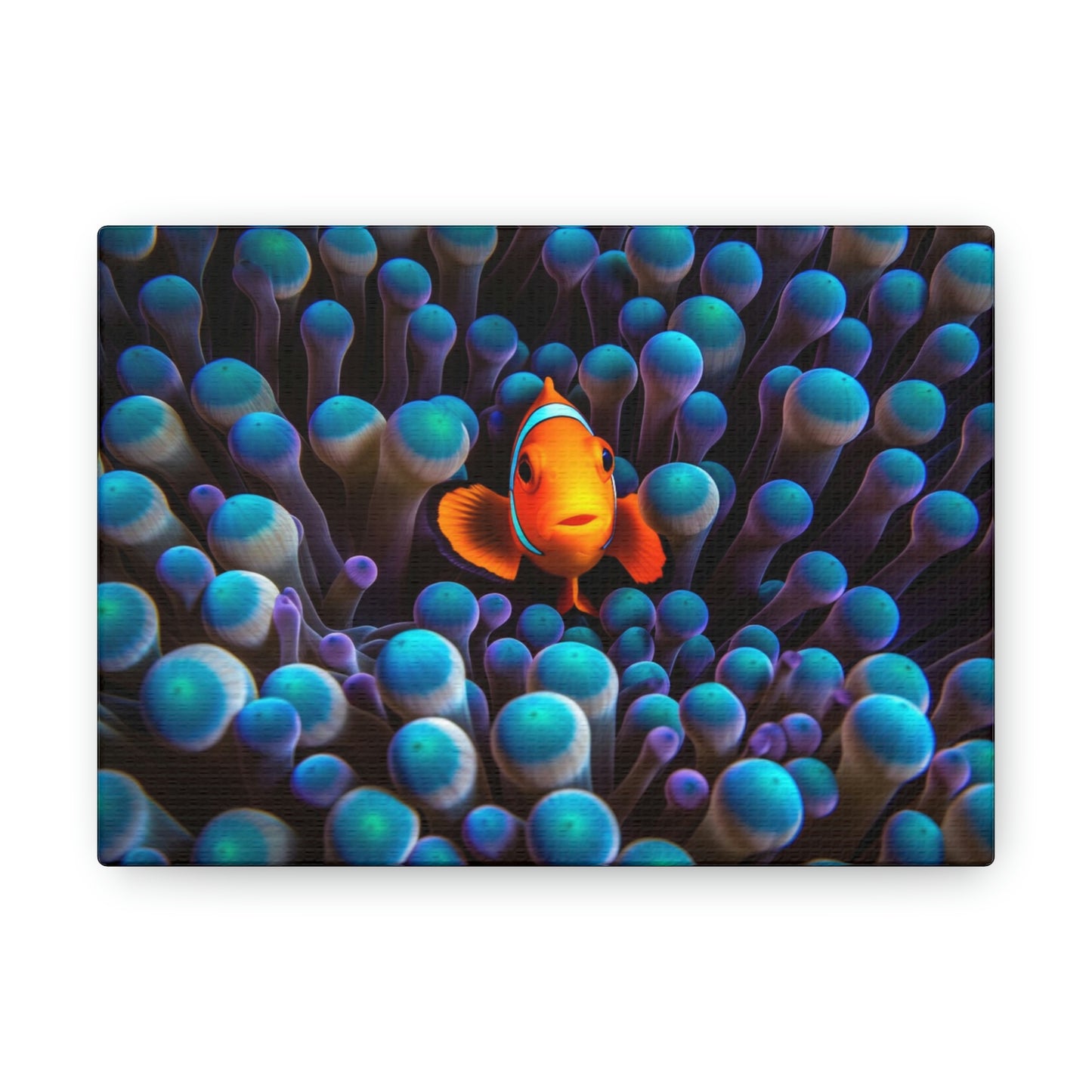 Canvas Gallery Wraps Clown Fish 1