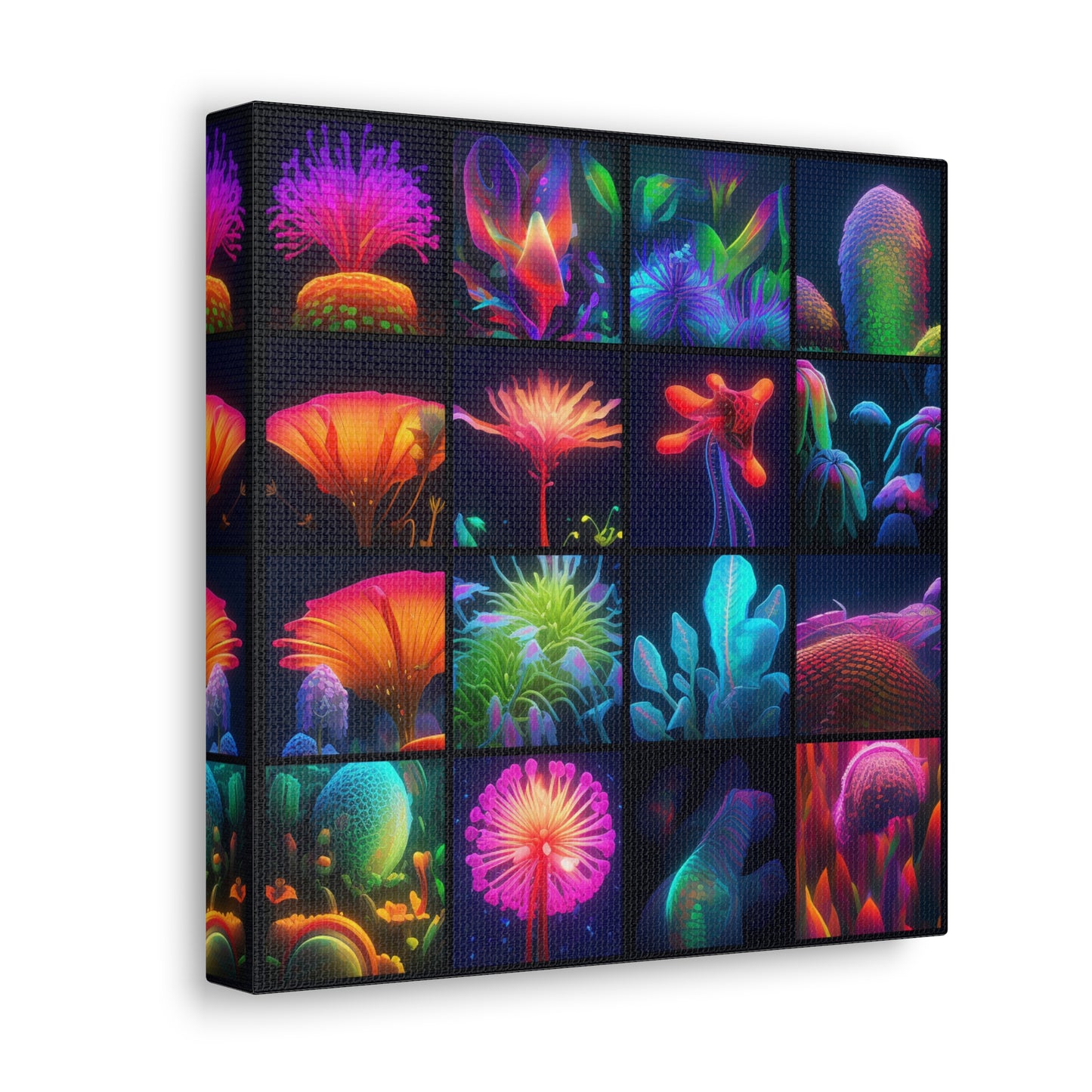 Canvas Gallery Wraps Macro Life Photo 3